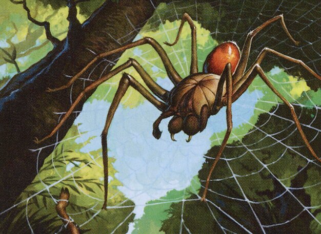 Deadly Recluse