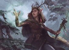 Devoted Druid