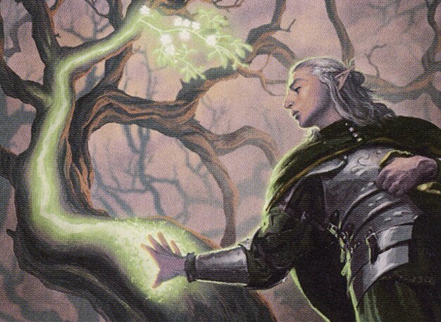 Elvish Rejuvenator