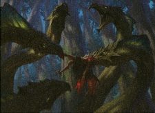 Food Chain