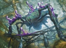 Webweaver Changeling