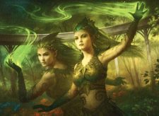 Conclave Naturalists