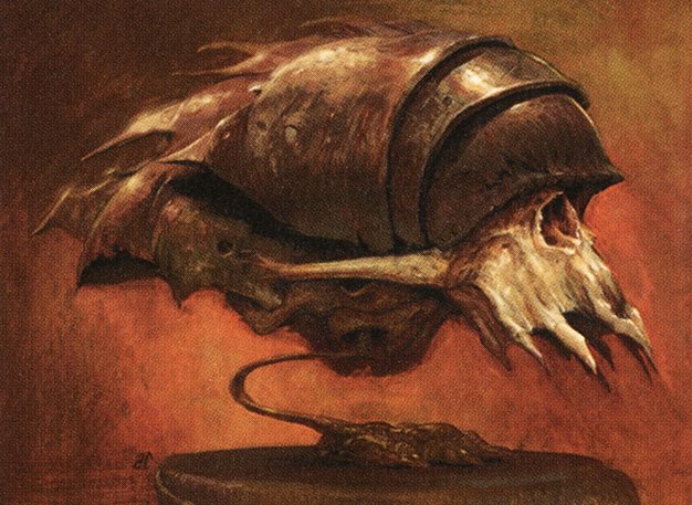 Cranial Plating