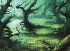 Flooded Grove