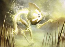 Peace Strider