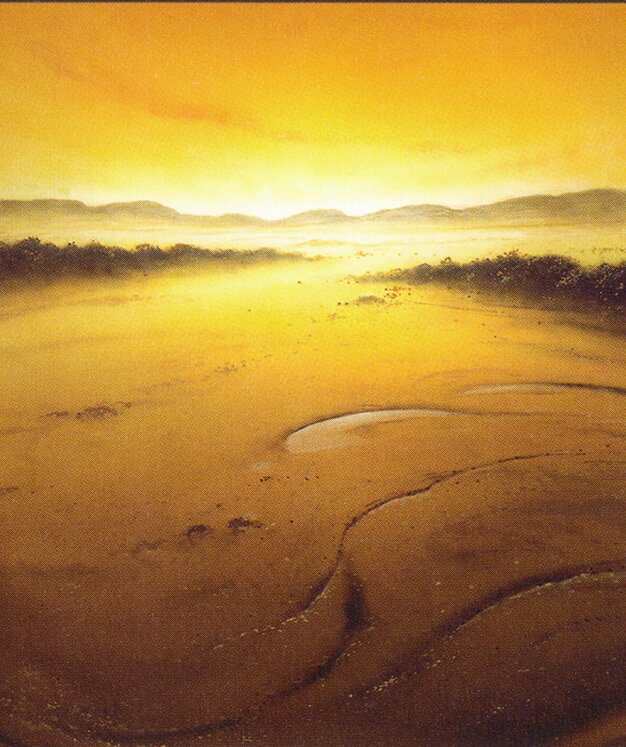 Plains