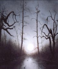 Swamp