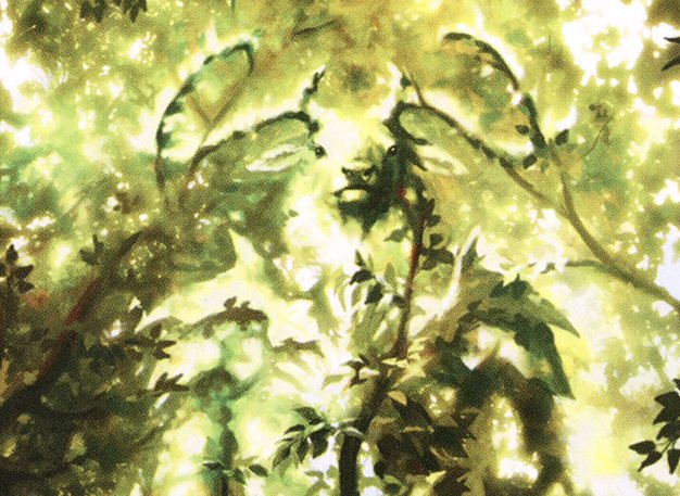 Voice of Resurgence