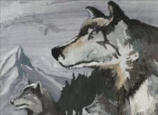 Aspect of Wolf