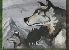 Aspect of Wolf