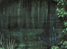 Bayou