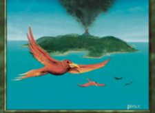 Birds of Paradise