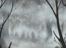 Fog