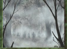 Fog