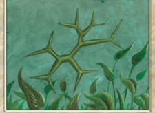 Green Ward