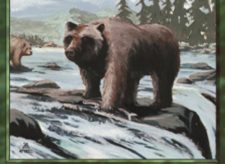 Grizzly Bears