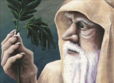 Ley Druid