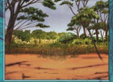 Phantasmal Terrain