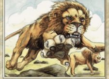 Savannah Lions