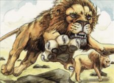 Savannah Lions