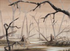 Swamp
