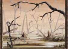 Swamp