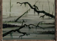 Swamp