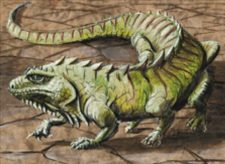 Thicket Basilisk