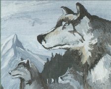 Aspect of Wolf