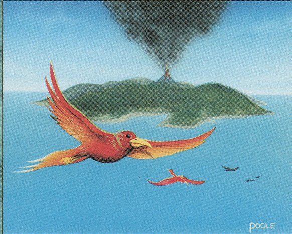 Birds of Paradise