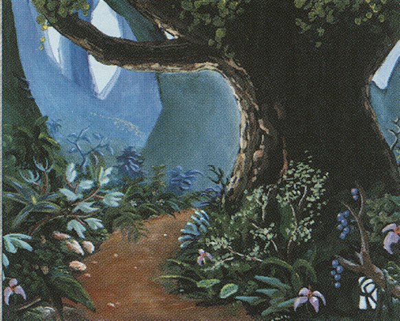 Forest