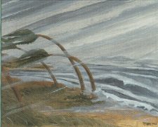 Hurricane