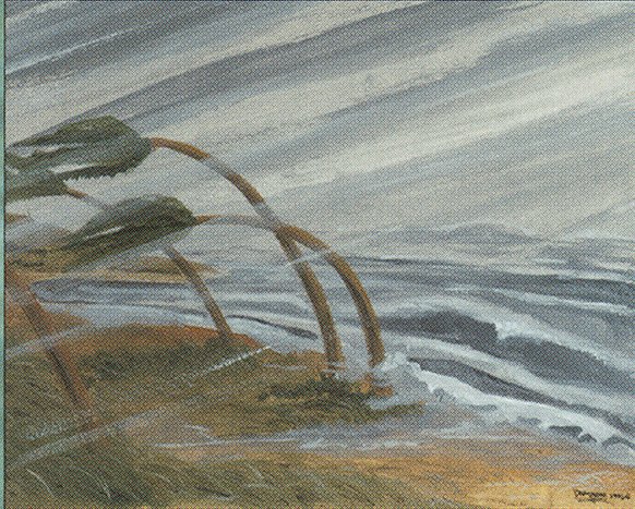 Hurricane