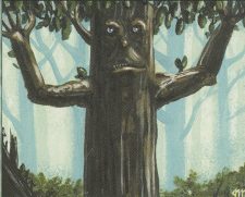 Ironroot Treefolk