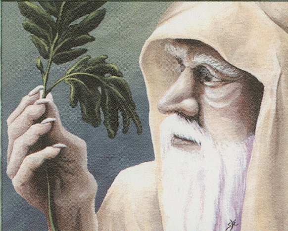 Ley Druid