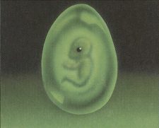 Lifeforce