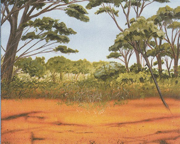 Phantasmal Terrain