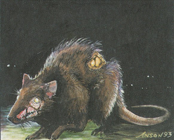 Plague Rats