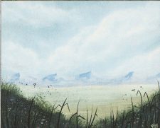 Plains
