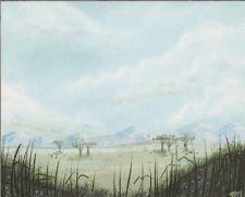 Plains