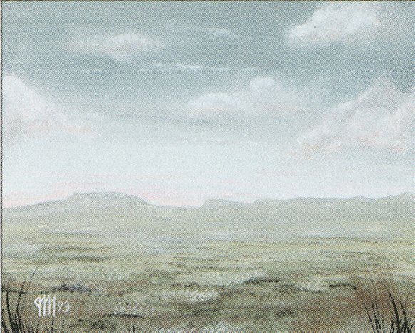 Plains