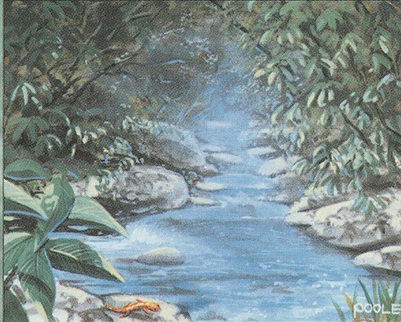 Stream of Life