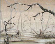 Swamp