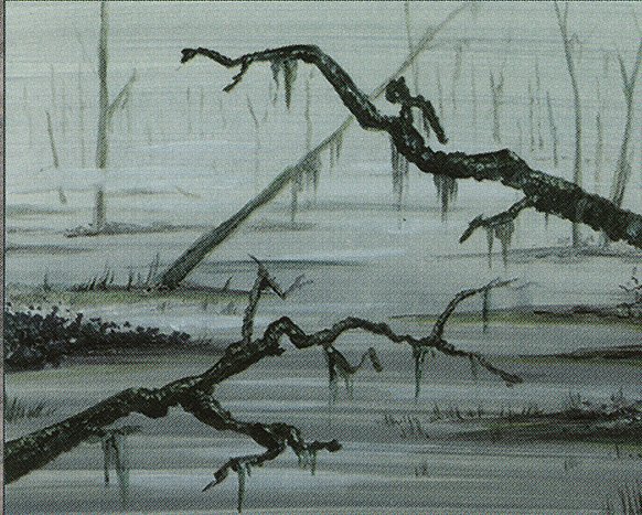 Swamp