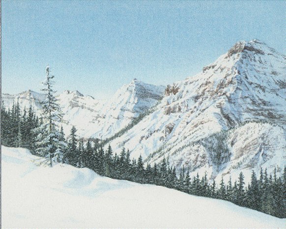 Taiga
