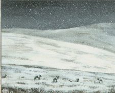 Tundra