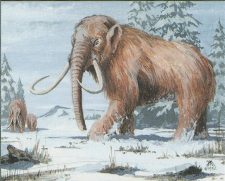 War Mammoth