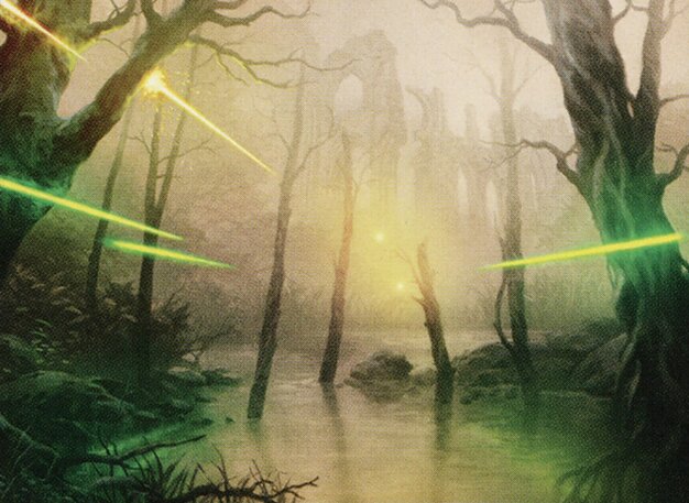 Swamp