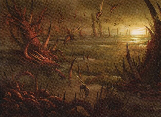 Swamp