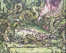 Carnivorous Plant